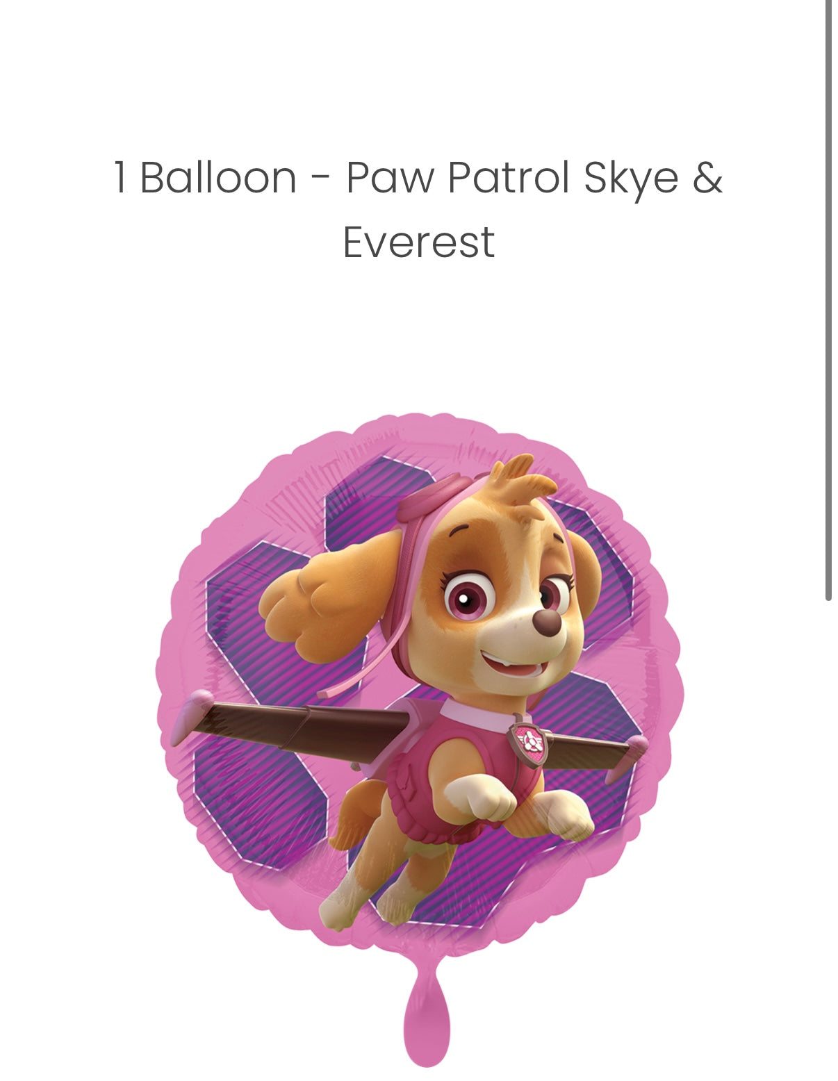 Balloon - Paw Patrol Skye & Everest - ENG