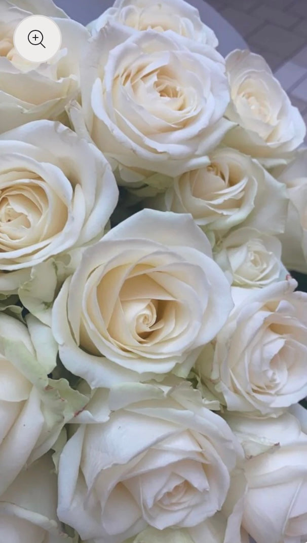 Premium weiße Rosen - M