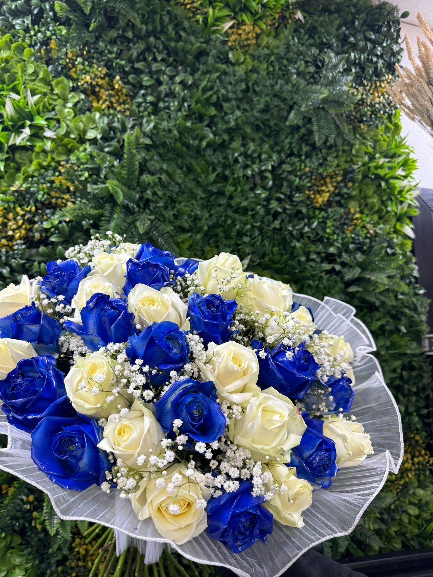 Queen of Bluemeer
